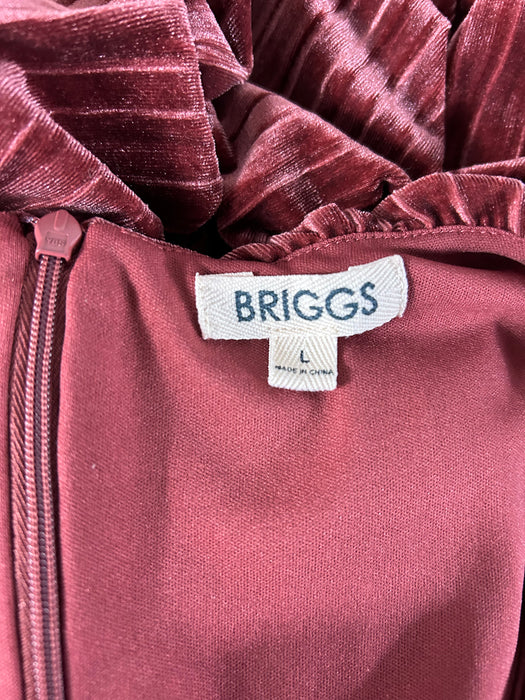 Briggs Velvet Dress Size Large