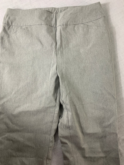 Banana Republic Slimming Perfect Stretch by Chico's Size 1 (Medium)