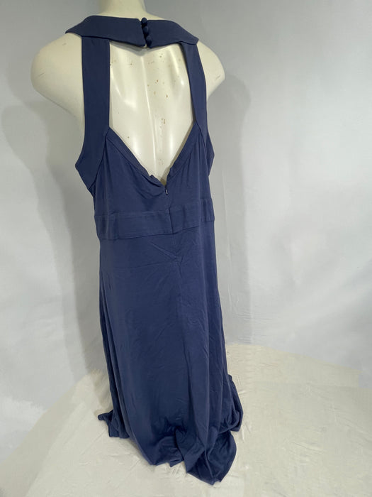 Gown-Length, Open-Back Blue One-Piece Banana Republic Dress