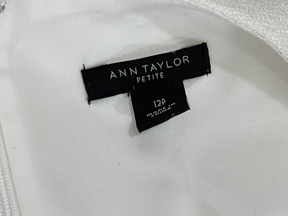 Ann Taylor Sleeveless Knee-Length Dress, Size 12-P