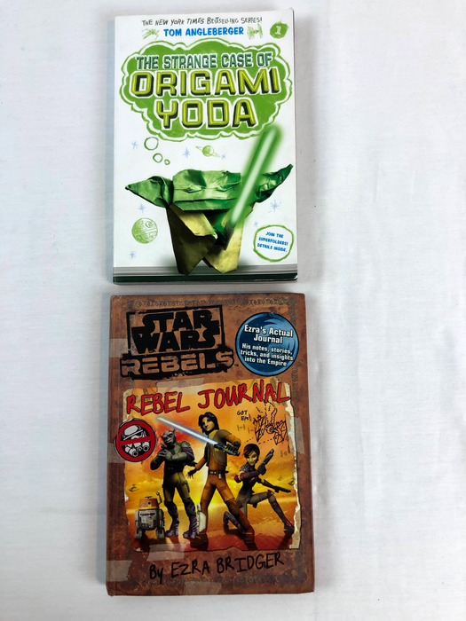 Star Wars Kids books bundle (2)