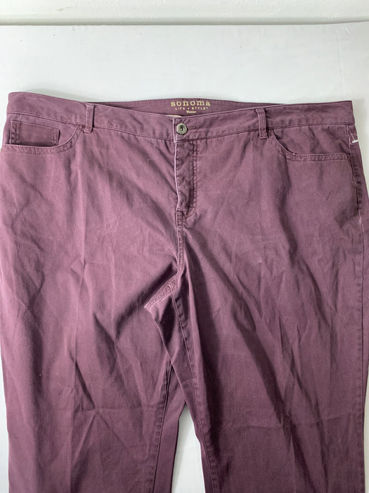 Sonoma Pants Size 22W