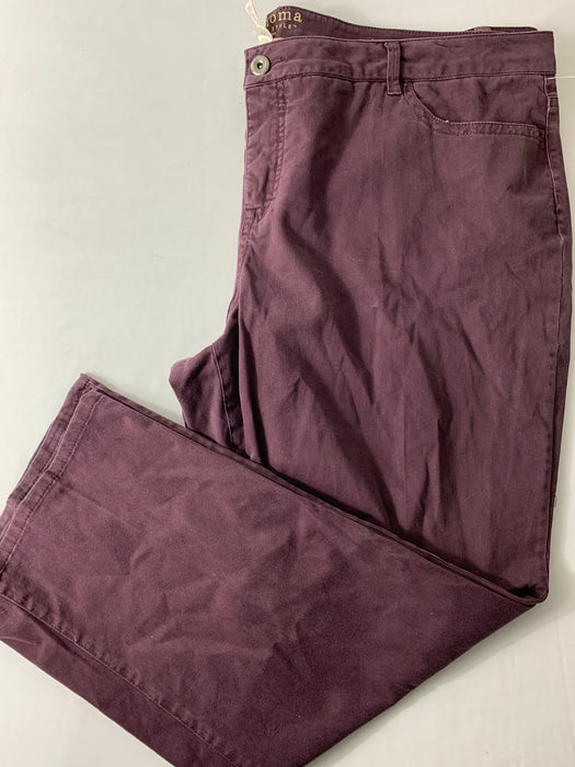 Sonoma Pants Size 22W