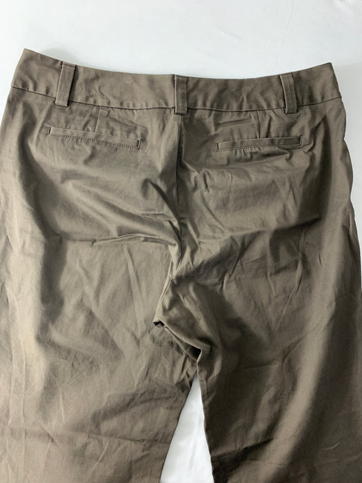 Gap Womens Pants Size 20 Long