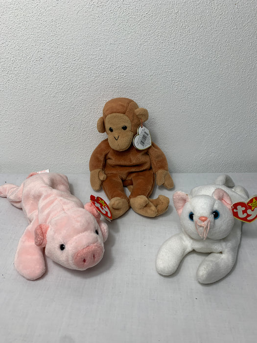 Bundle TY Beanie Babies Collection: Squealer, Bongo, Flip
