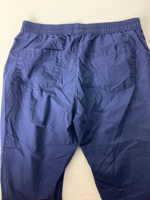 Gap Pants/Capri Size Medium