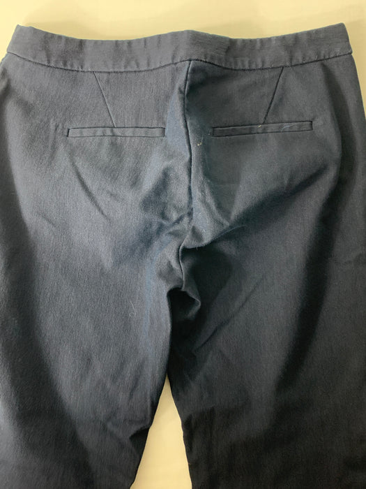 J Crew Pants Size 6
