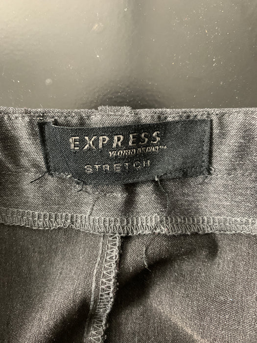 Express Skirt Size 4