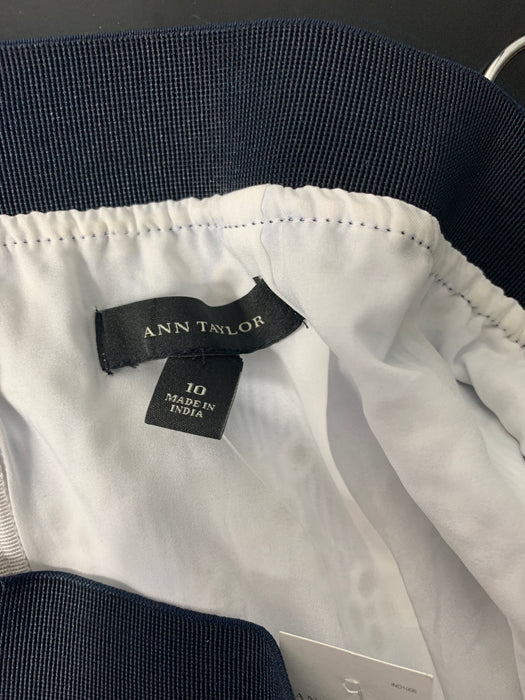 NWT Ann Taylor Skirt Size 10