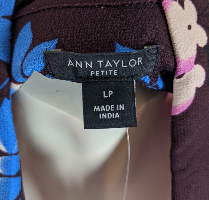 Ann Taylor Petite Womens Collared Shirt Size Large Petite