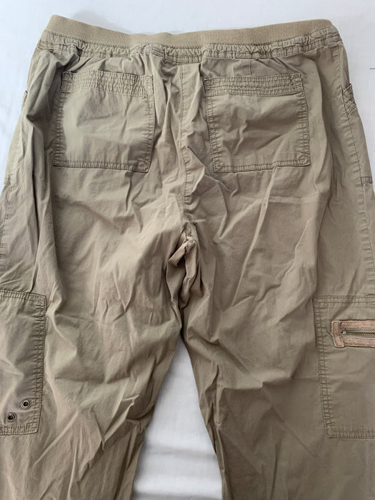 Chico's Pants Size 2/Large