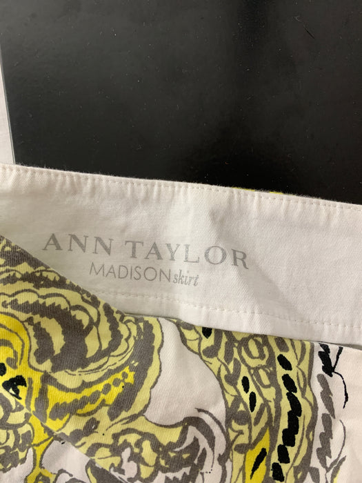 Ann Taylor Skirt Size 34" waist (large)