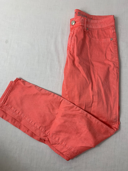 Articles of Society Coral Pants Size 28