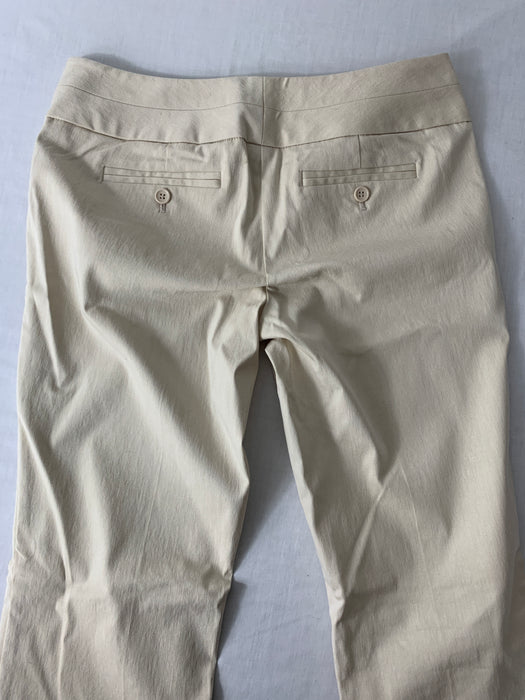 The Limited Pants Size 6