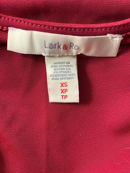 Lark & Ro Womens Elegant Dress size XS