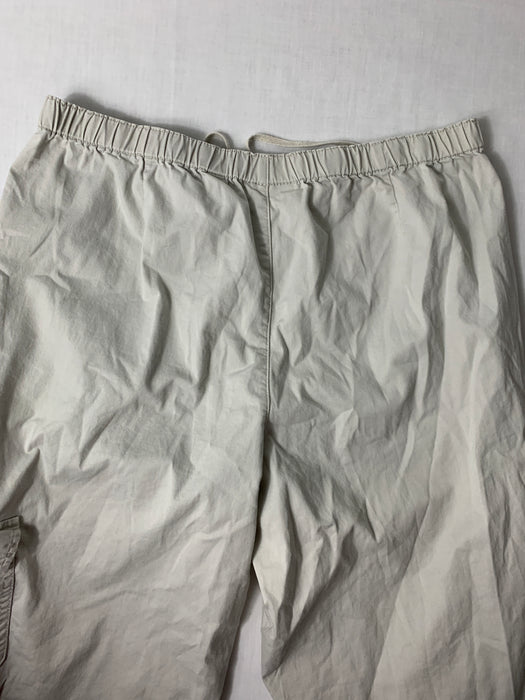 Coldwater Creek Capri Pants Size PM 10-12
