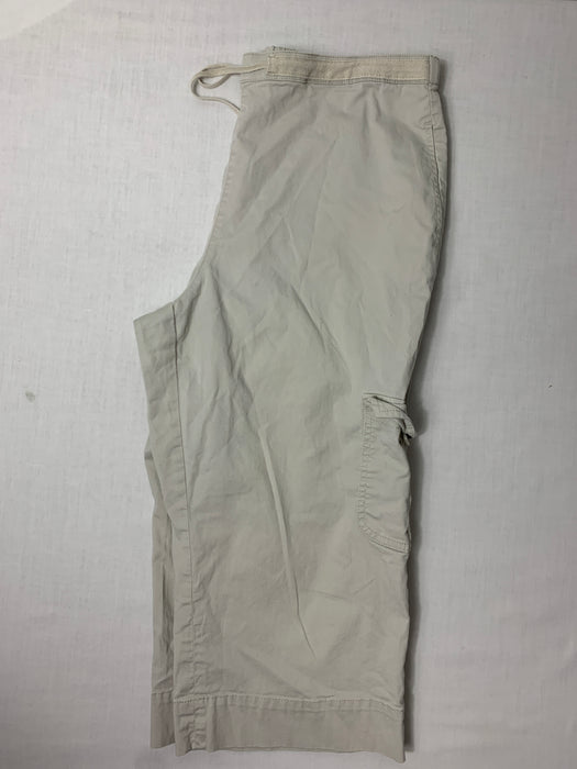 Coldwater Creek Capri Pants Size PM 10-12