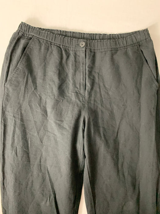 Eileen Fisher Capri Pants Size Small