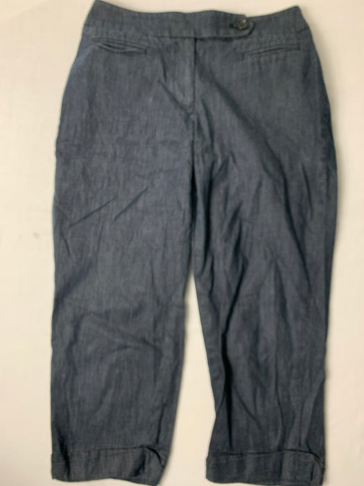 Loft Capri Pants Size 2P