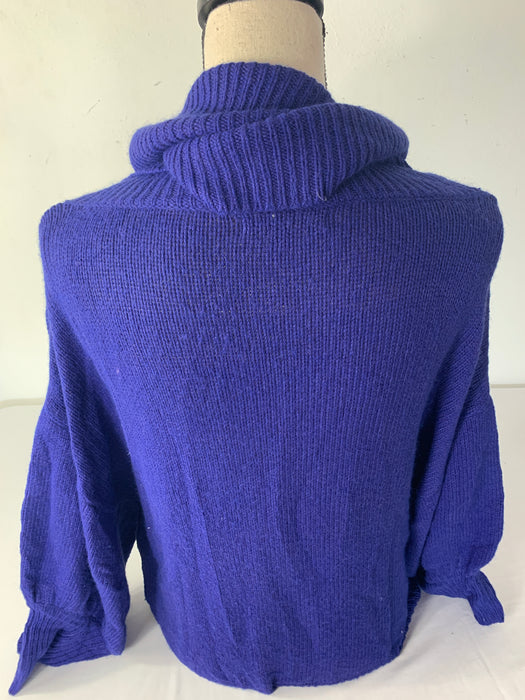 Express Sweater Size Large