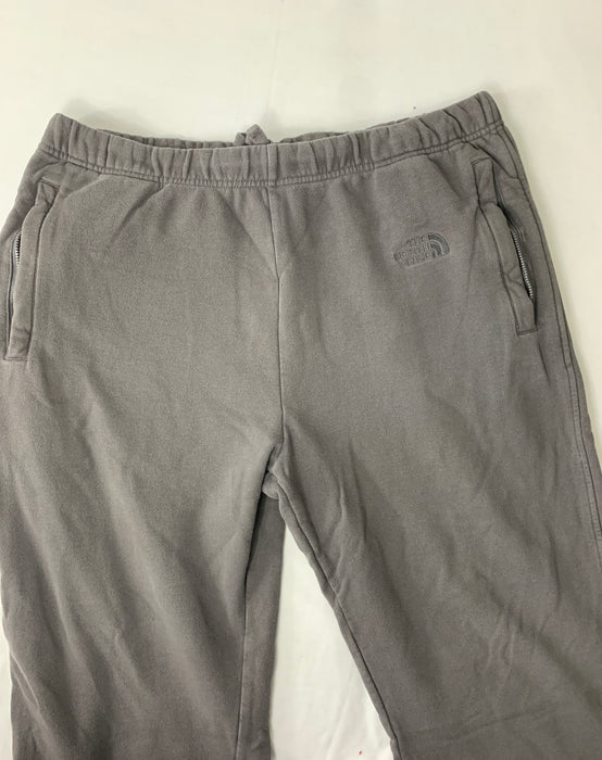 The North Face Mens Pants Size XL