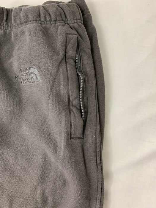 The North Face Mens Pants Size XL