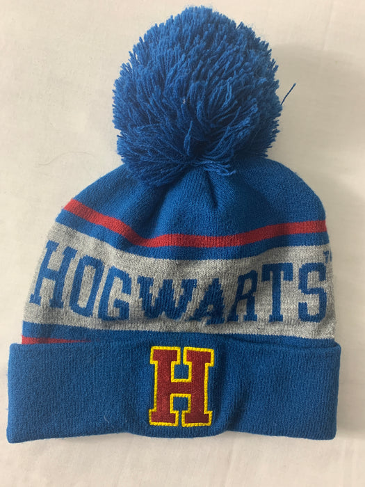 Harry Potter Brand Hogwarts Hat