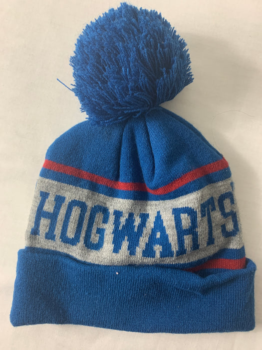 Harry Potter Brand Hogwarts Hat