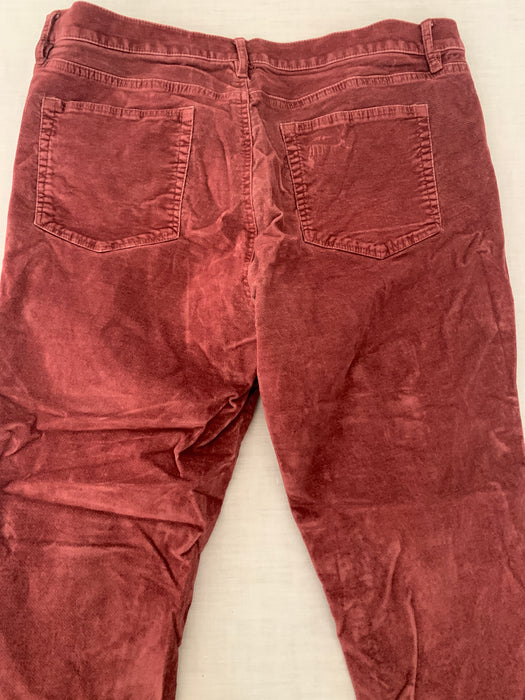 Loft Velvet Pants Size 33/16