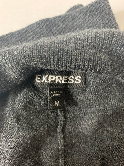 Express Sweater Dress Size Medium