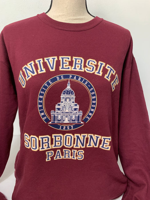University of Sorbonne Paris Hoodie Size Large