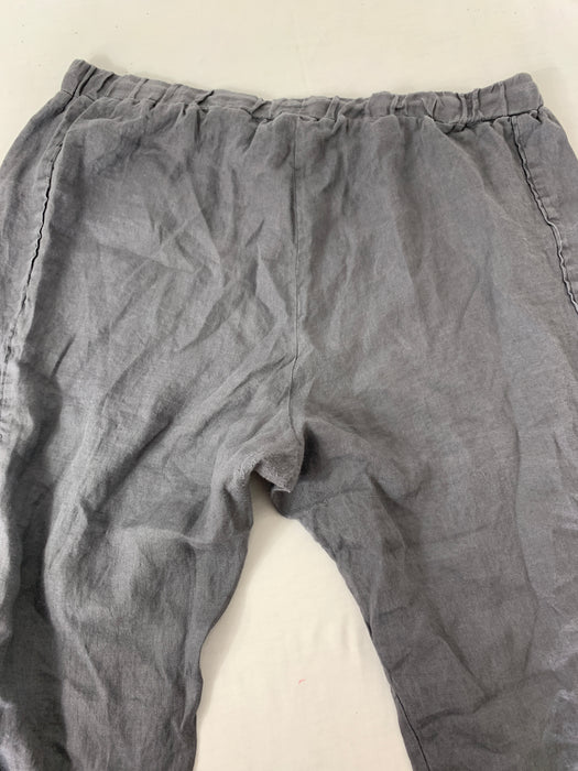 Ellen Tracy Pants Size XL
