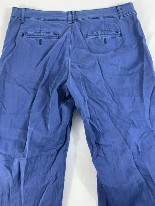 Pilcro and the Letter erase Pants Size 28