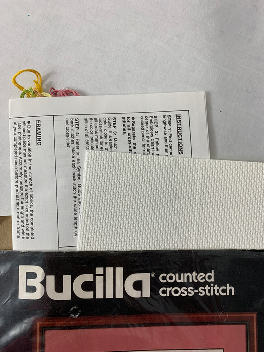 2 pc. Bucilla Counted Cross-Stitch