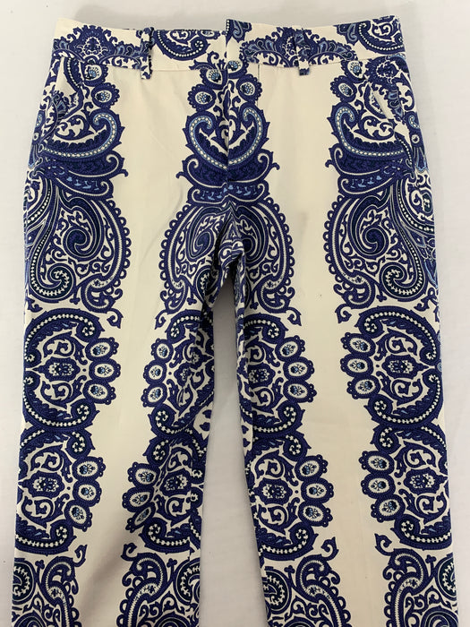 Zara Fun Designed Pants Size 4