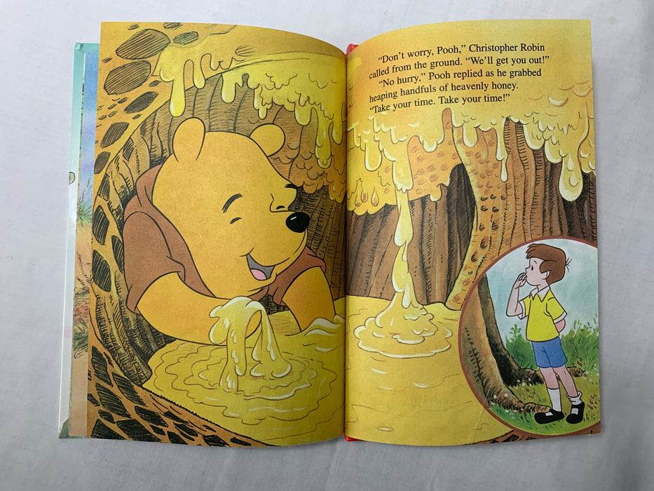 Bundle Winnie the Pooh animal and book
