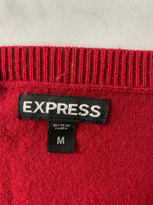 Express Women's Cardigan Size Medium