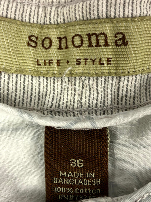 Sonoma Grey Shorts Size 36