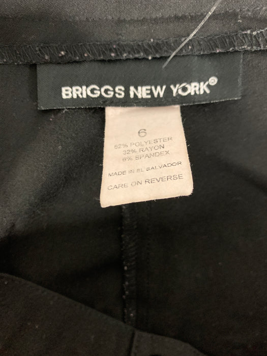 Briggs New York Size 6