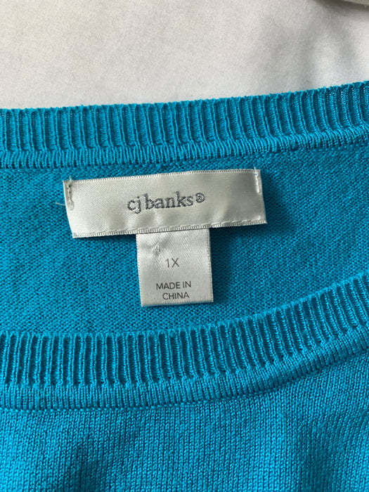 CJ Banks Sweater Size 1x