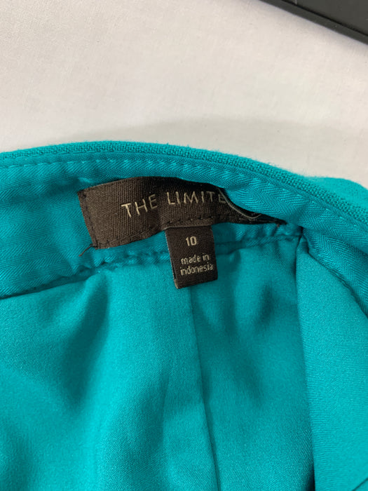 The Limited Skirt Size 10