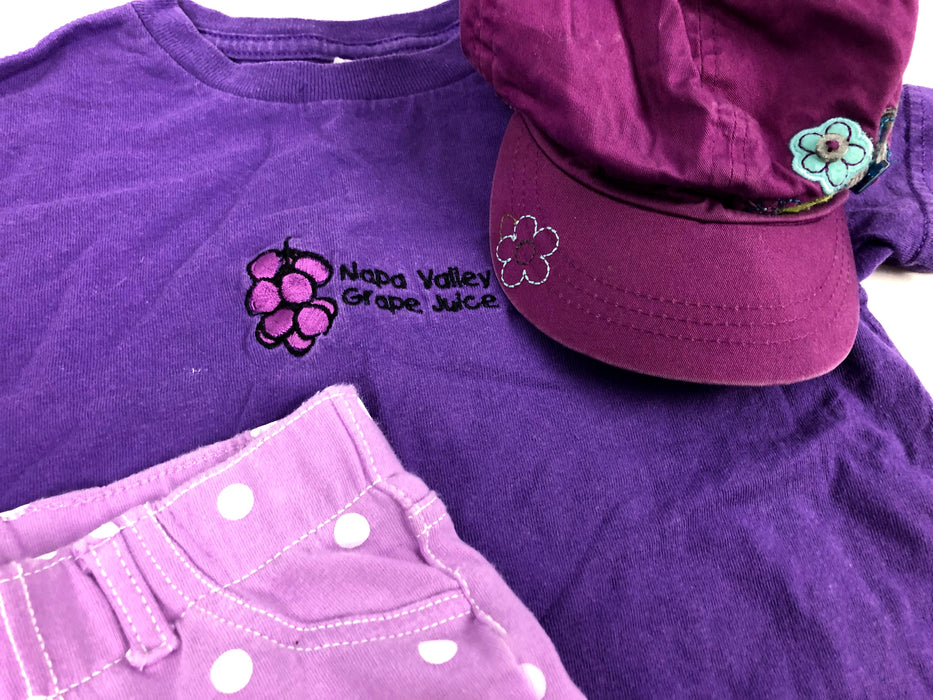 3 Piece Purple T-Shirt, Circo Shorts and Children's Place Hat Bundle Size 5T