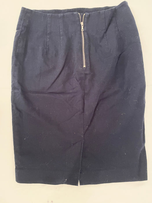 Ann Taylor Loft Navy Blue Pencil Skirt Size_0
